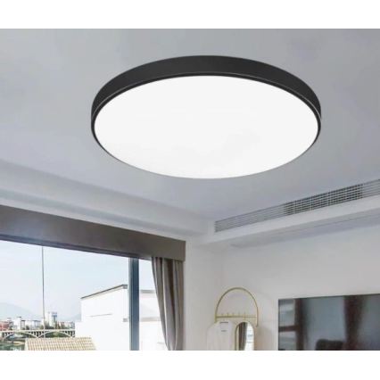 LED Kúpeľňové stropné svietidlo CARTER LED/12W/230V 6000K IP44 pr. 22 cm čierna
