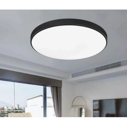 LED Kúpeľňové stropné svietidlo CARTER LED/12W/230V 6000K IP44 pr. 22 cm čierna
