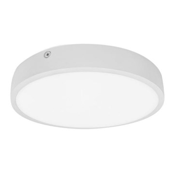 LED Kúpeľňové stropné svietidlo EGON LED/30W/230V IP44 3000K