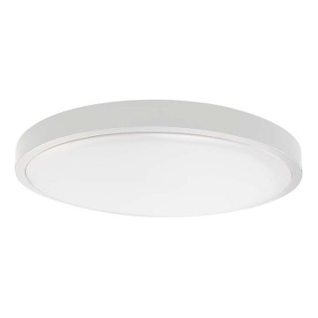 LED kúpeľňové stropné svietidlo LED/18W/230V 3000K IP44 pr. 25 cm biela