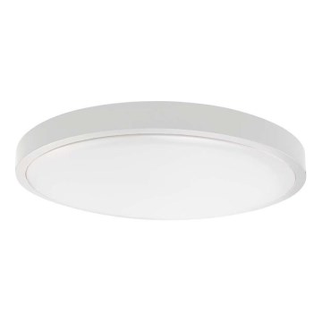 LED kúpeľňové stropné svietidlo LED/18W/230V 4000K IP44 pr. 25 cm biela