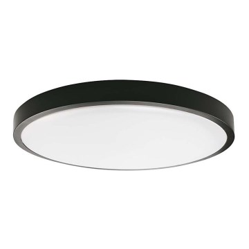 LED Kúpeľňové stropné svietidlo LED/18W/230V 6500K IP44 pr. 22,5 cm čierna