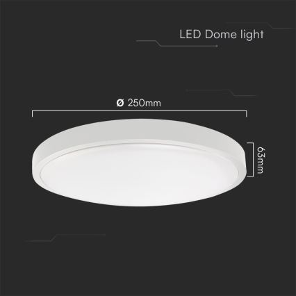 LED Kúpeľňové stropné svietidlo SAMSUNG CHIP LED/18W/230V IP44 4000K pr. 25 cm biela