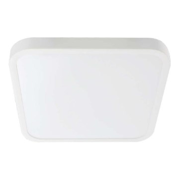 LED Kúpeľňové stropné svietidlo LED/24W/230V 3000K IP44 29,5x29,5 cm biela