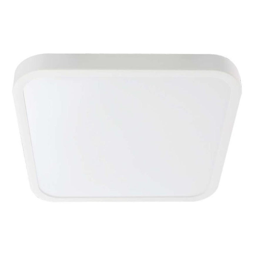 LED Kúpeľňové stropné svietidlo LED/24W/230V 4000K IP44 29,5x29,5 cm biela