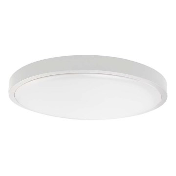 LED Kúpeľňové stropné svietidlo LED/24W/230V 4000K IP44 biela