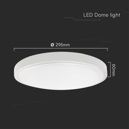 LED Kúpeľňové stropné svietidlo LED/24W/230V 6500K IP44 pr. 29,5 cm biela