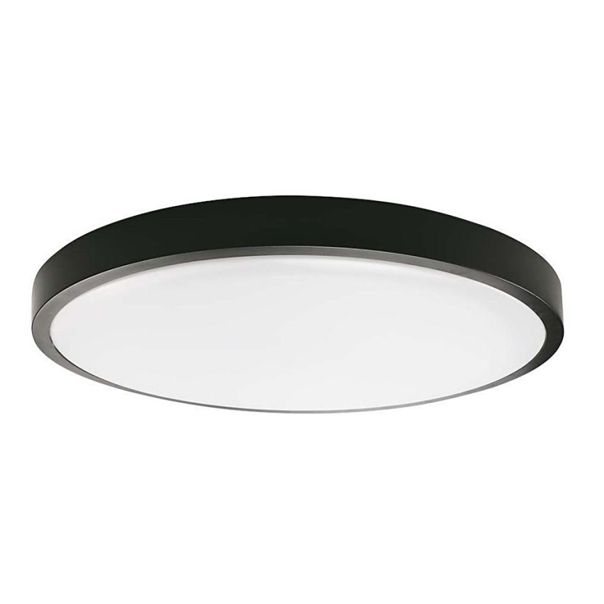 LED Kúpeľňové stropné svietidlo LED/24W/230V 6500K IP44 pr. 29,5 cm čierna