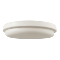 LED Kúpeľňové stropné svietidlo LED/24W/230V 6500K IP54 pr. 24 cm