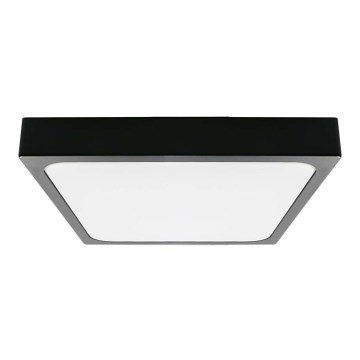 LED Kúpeľňové stropné svietidlo LED/30W/230V 6500K IP44 42x42 cm čierna
