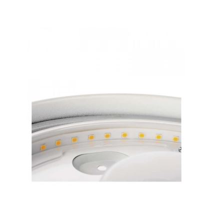 LED Kúpeľňové stropné svietidlo LED/32W/230V IP44