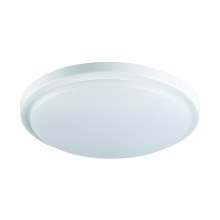 LED Kúpeľnové stropné svietidlo ORTE LED/18W/230V IP54