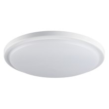 LED Kúpeľnové stropné svietidlo ORTE LED/24W/230V IP54
