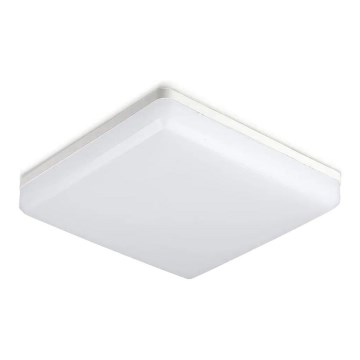 LED Kúpeľňové stropné svietidlo SAMSUNG CHIP LED/15W/230V 6500K IP44 20x20 cm