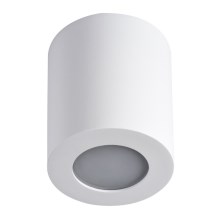 LED Kúpeľňové stropné svietidlo SANI 1xGU10/10W/230V IP44 biela