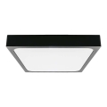 LED Kúpeľňové stropné svietidlo so senzorom LED/24W/230V 4000K IP44 čierna