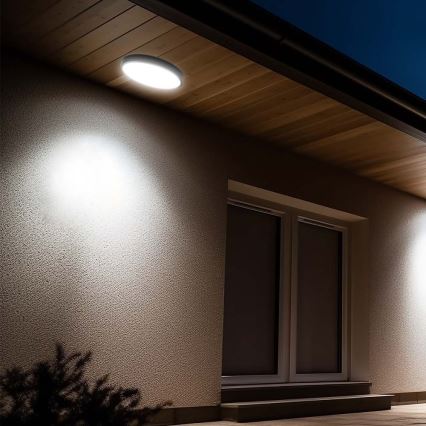 LED Kúpeľňové stropné svietidlo so senzorom LED/24W/230V 4000K IP44 čierna + diaľkové ovládanie