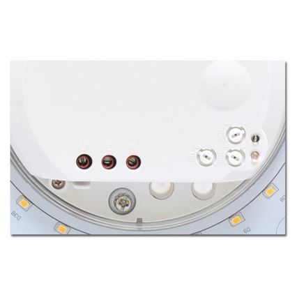 LED Kúpeľňové stropné svietidlo so senzorom VICTOR LED/25W/230V IP44