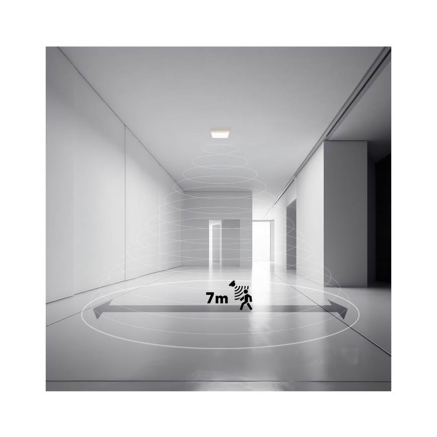 Svietidlo na strope detekuje pohyb v priestore. Detekuje pohyb v kruhovom priestore s priemerom 7 metrov. Svietidlo je umiestnené v dlhej, úzkej, svetlej miestnosti s bielymi stenami a dverami na oboch stranách.