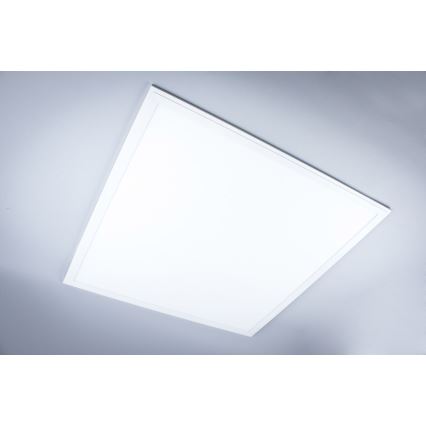 LED Kúpeľňový prisadený panel LED/40W/230V 4000K 59,5x59,5 cm IP65 biela