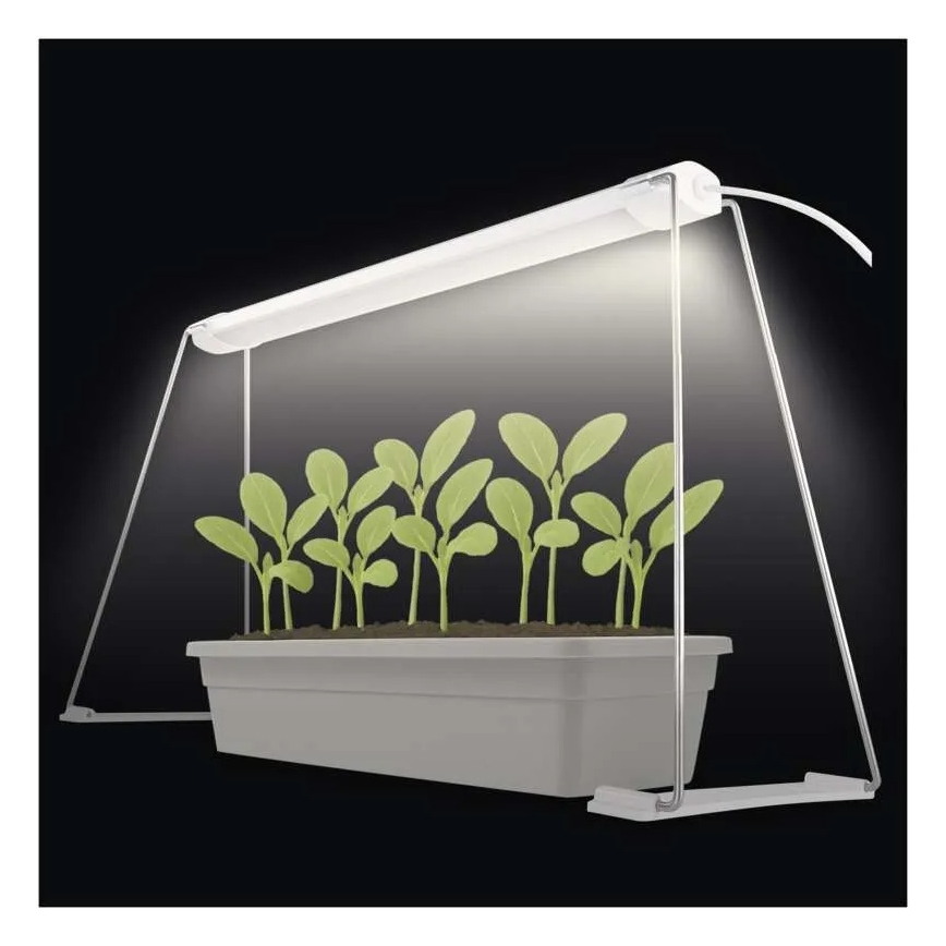 LED lampa do interiéru na pestovanie rastlín GROW LED/15W/230V