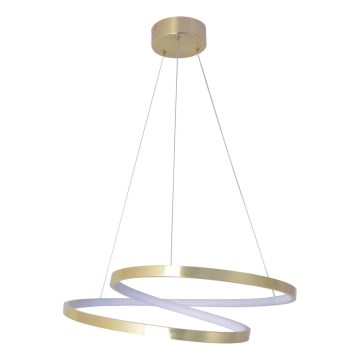 LED luster na kábli ZEFIRA LED/40W/230V 4000K priemer 50 cm zlatý