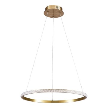 LED luster na lankách DIANA LED/25W/230V 4000K pr. 50 cm zlatý