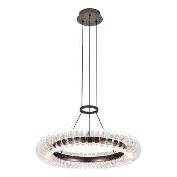 LED luster na lanku ALBA LED/39W/230V sivá/číra