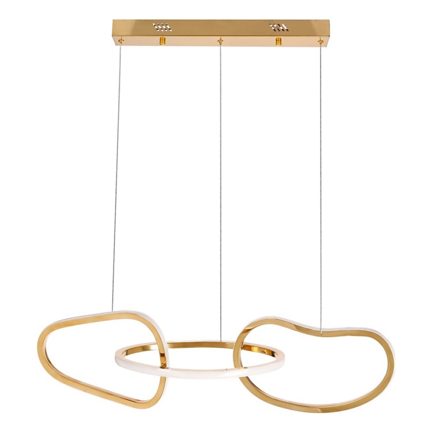 LED luster na lanku ANNELI LED/30W/230V 80 cm zlatý