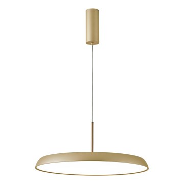 LED luster na lanku ART LED/41W/230V zlatý