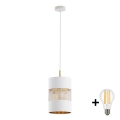 LED luster na lanku BOGART 1xE27/15W/230V biela/zlatá