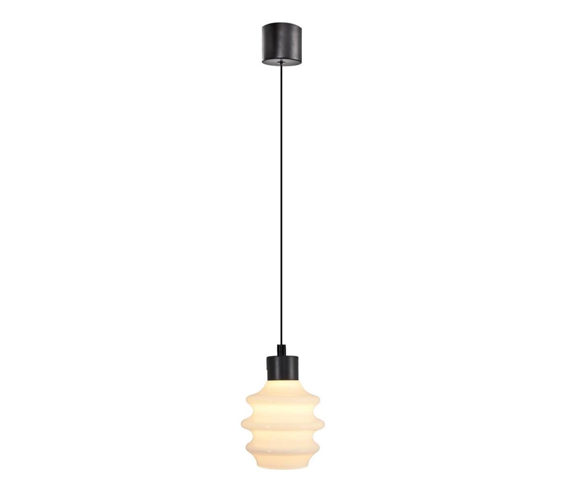 LED luster na lanku CACTUS LED/3W/230V 3000K čierna/biela 414LRC1976