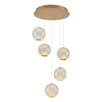 LED Luster na lanku CREMONA 5xLED/5W/230V 3000K zlatá
