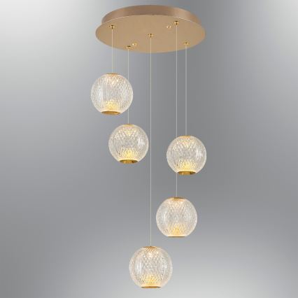 LED Luster na lanku CREMONA 5xLED/5W/230V 3000K zlatá