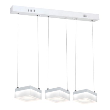 LED Luster na lanku CUBO 3xLED/12W/230V štvorec