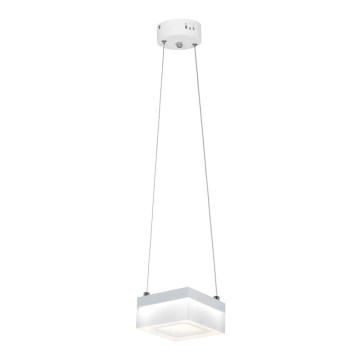 LED Luster na lanku CUBO LED/12W/230V štvorec