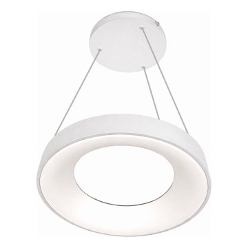 LED luster na lanku DRAX LED/32W/230V 4000K priemer 38 cm biela