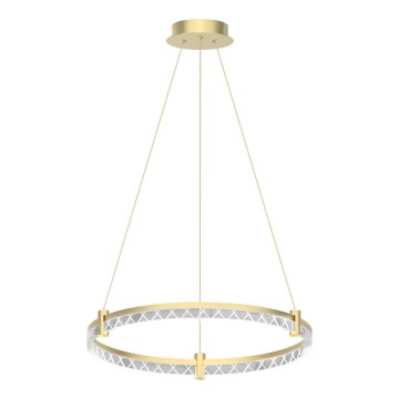LED Luster na lanku ELEGANCE LED/36W/230V pr. 60 cm zlatá