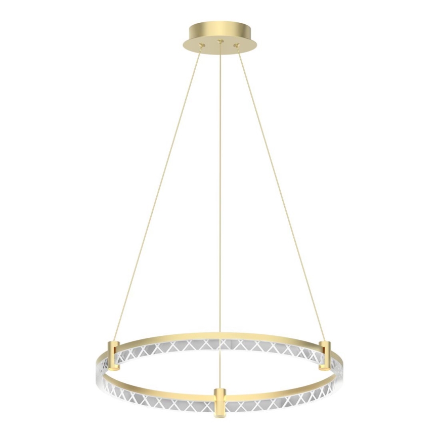 LED Luster na lanku ELEGANCE LED/36W/230V pr. 60 cm zlatá