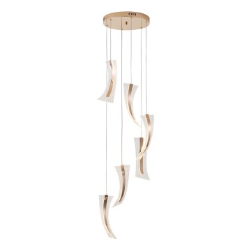 LED Luster na lanku FIRENZE 6xLED/10W/230V 3000K