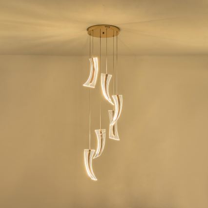 LED Luster na lanku FIRENZE 6xLED/10W/230V 3000K