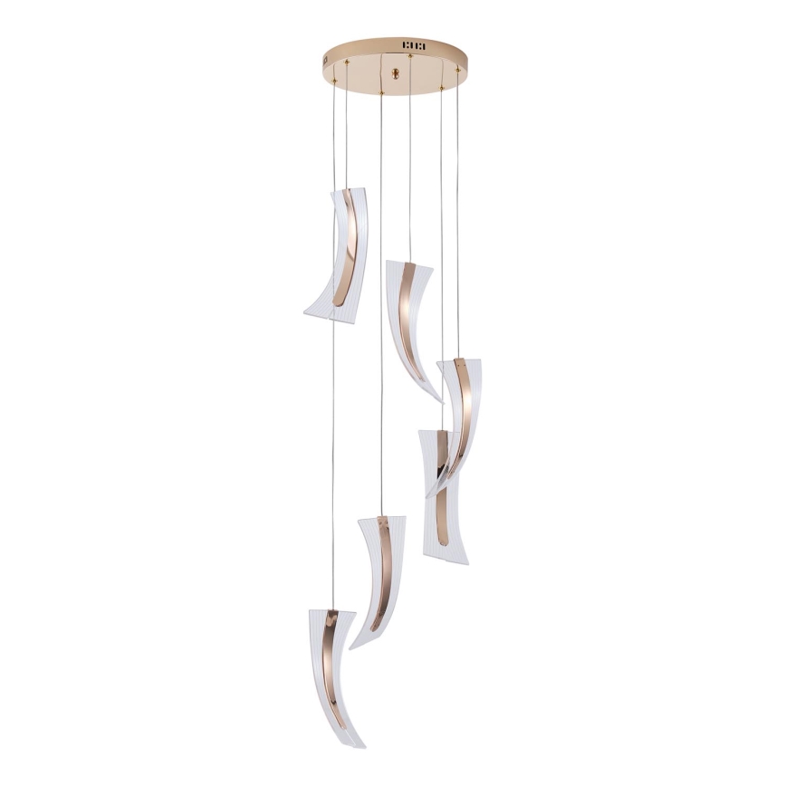 LED Luster na lanku FIRENZE 6xLED/10W/230V 3000K