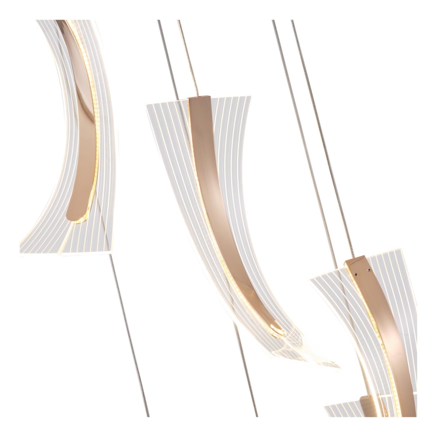 LED Luster na lanku FIRENZE 6xLED/10W/230V 3000K