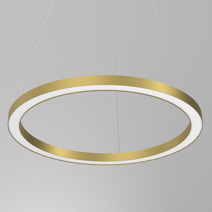 LED Luster na lanku GALAXIA LED/26W/230V zlatá