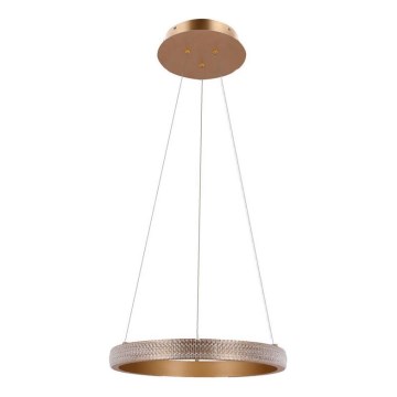LED Luster na lanku HASHIM LED/22W/230V pr. 40 cm medená