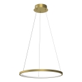 LED Luster na lanku HOOP LED/27W/230V pr. 50 cm 4000K zlatá
