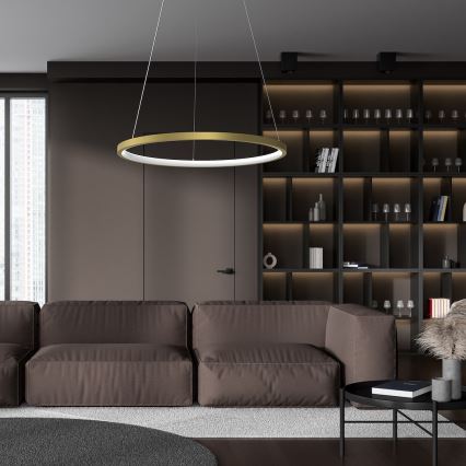 LED Luster na lanku HOOP LED/27W/230V pr. 50 cm 4000K zlatá