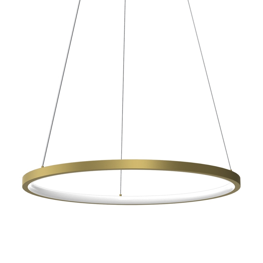 LED Luster na lanku HOOP LED/27W/230V pr. 50 cm 4000K zlatá