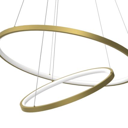 LED Luster na lanku HOOP LED/51W/230V pr. 60 cm 4000K zlatá