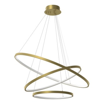 LED Luster na lanku HOOP LED/93W/230V pr. 80 cm 4000K zlatá